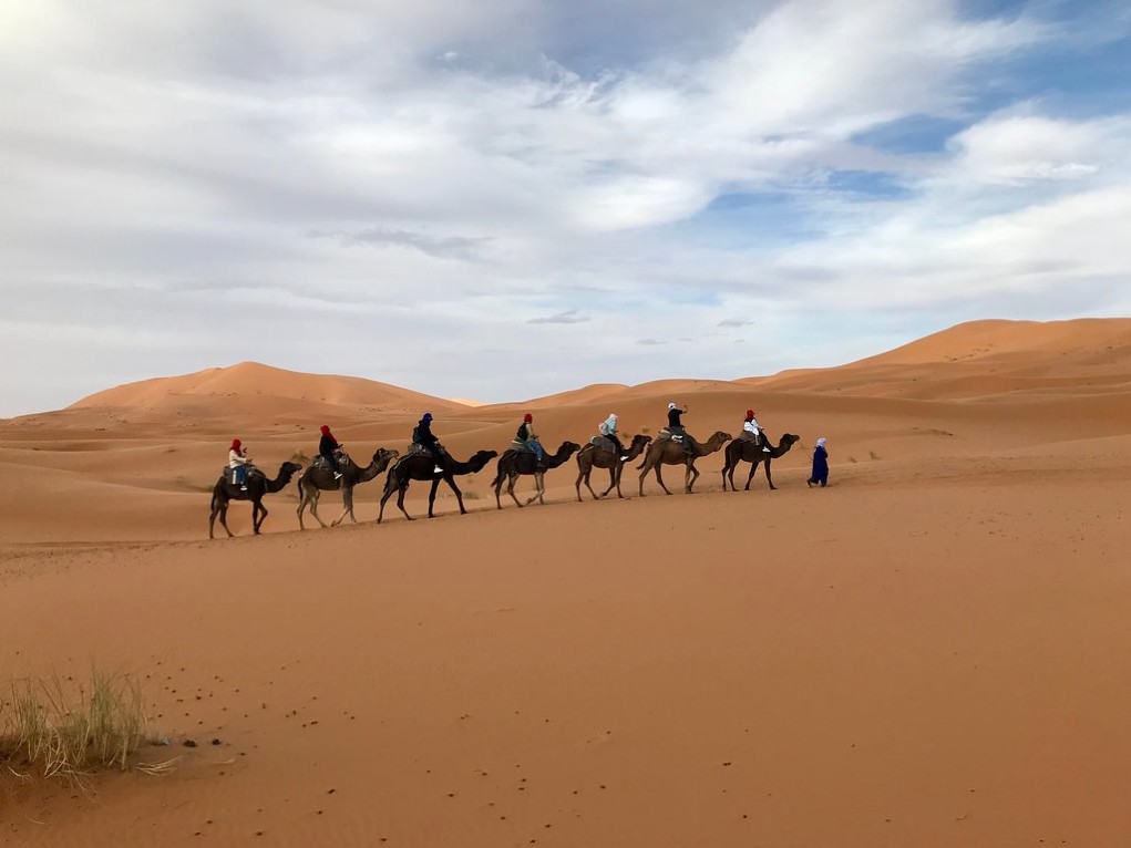 Noches Excursion En Camellos En El Desierto De Merzouga