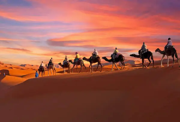 Tour de 11 días por el desierto desde Tánger Tour de 10 días de Tánger a Marrakech 6 dias tour desde Fez a Marrakech