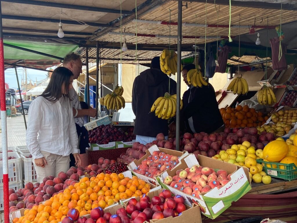 tours into morocco